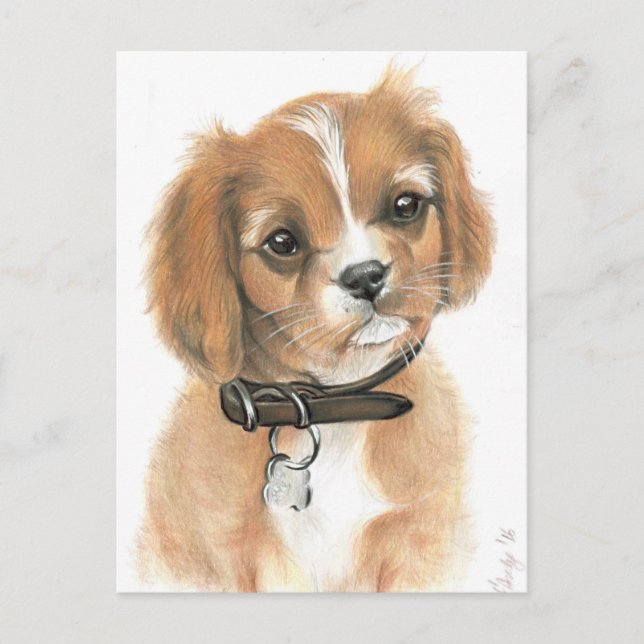 Cartão Postal Puppy (Frente)