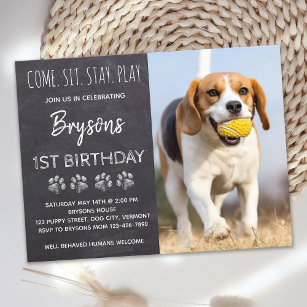 Cartão Postal Puppy Dog Aniversário Sente-Se Sente-Se Festa De B