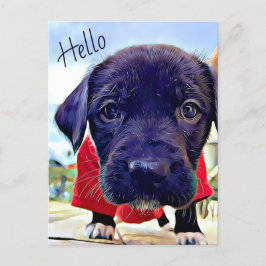 Cartão Postal Puppy Hello