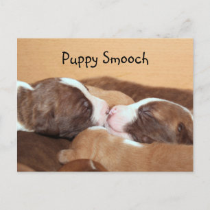 Cartão Postal Puppy kiss