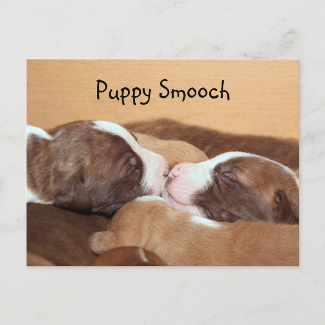 Cartão Postal Puppy kiss (Frente)