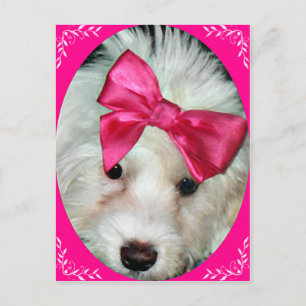Cartão Postal Puppy Love