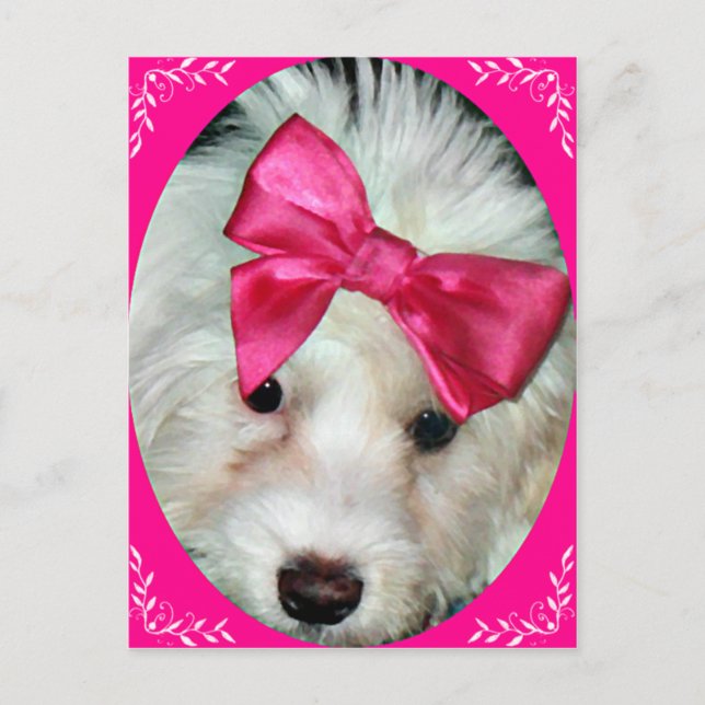 Cartão Postal Puppy Love (Frente)