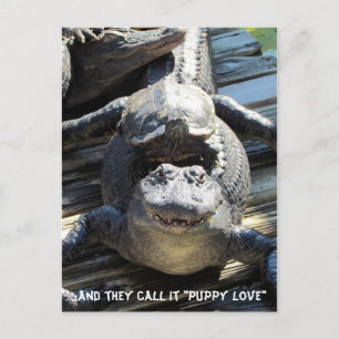 Cartão Postal "Puppy Love" - Cartão-postal Gator / Alligator