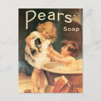 Cartão Postal Puppy Tomando Um Banho Vintage Antigamente