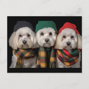 Cartão Postal Pups de Férias