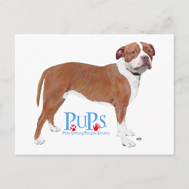 Cartão Postal PUPs Resgatou Pit Bull (Frente)