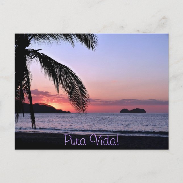 Cartão Postal Pura Vida! (Frente)