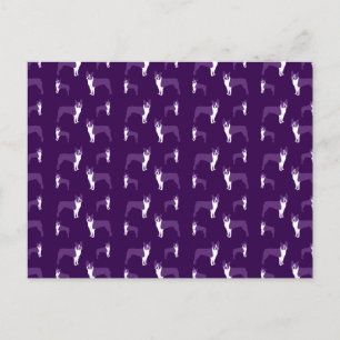Cartão Postal Purple boston terrier