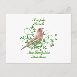 Cartão Postal Purple Finch New Hampshire State Bird