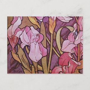 Cartão Postal Purple Iris