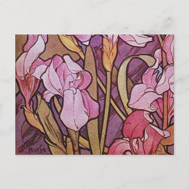 Cartão Postal Purple Iris (Frente)