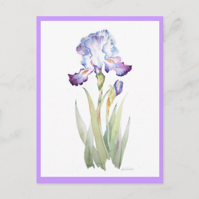 Cartão Postal Purple Iris (Frente)
