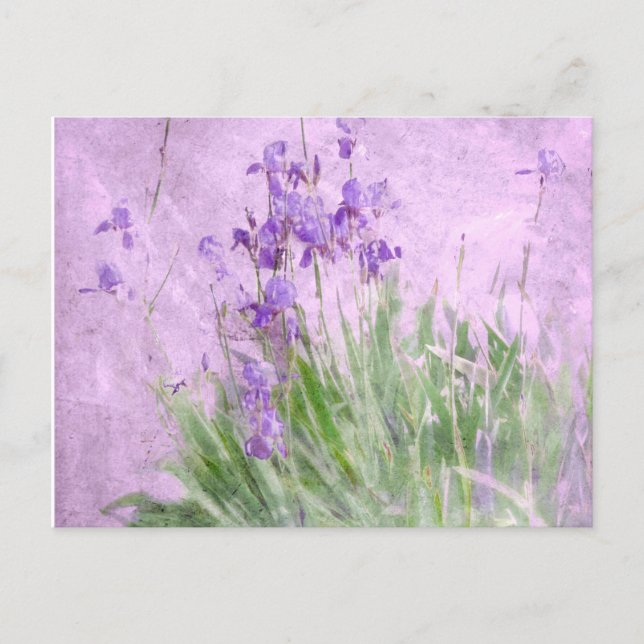 Cartão Postal Purple Irises Watercolor - (Frente)