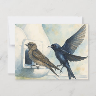 Cartão Postal Purple Martin Landlord Nature Swallow Bird Gourds