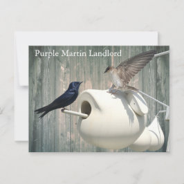 Cartão Postal Purple Martin Landlord Nature Swallow Bird Gourds