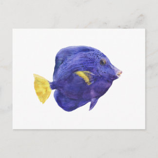 Cartão Postal Purple Tang Fish Watercolor Illustration