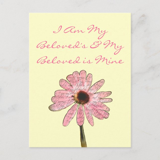 Cartão Postal purpleconeflowerbeloved3 (Frente)