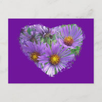 Púrpura Astras de Flores Selvagens