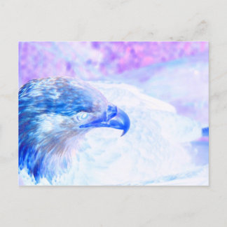 Cartão Postal púrpura azul-águia careca virada para a direita