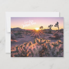 Cartão Postal Púrpura e Laranja Colla Cactus Joshua Tree Sunset