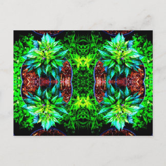 Cartão Postal púrpura pequin espelho 4