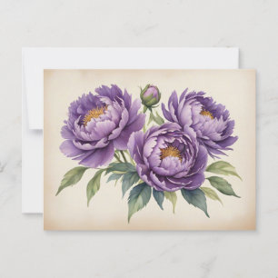 Cartão Postal Púrpuros em Pergaminho