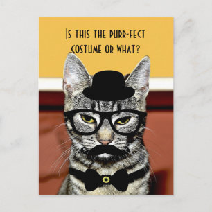 Cartão Postal Purr-fect Cat Costume