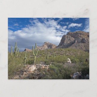 Cartão Postal Pusch Ridge II