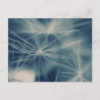 Cartão Postal Pusteblume