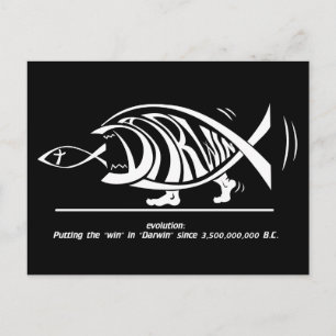 Cartão Postal Putting the Win in in Darwin (por sethness@deviant