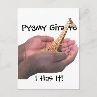 Cartão Postal Pygmy Giraffe