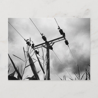 Cartão Postal Pylon preto e branco