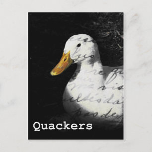 Cartão Postal Quackers