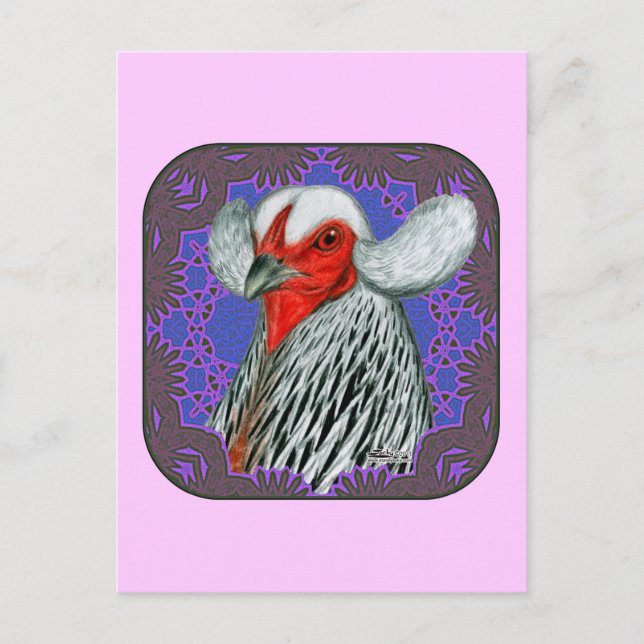Cartão Postal Quadro de Cabeça da Araucana (Frente)