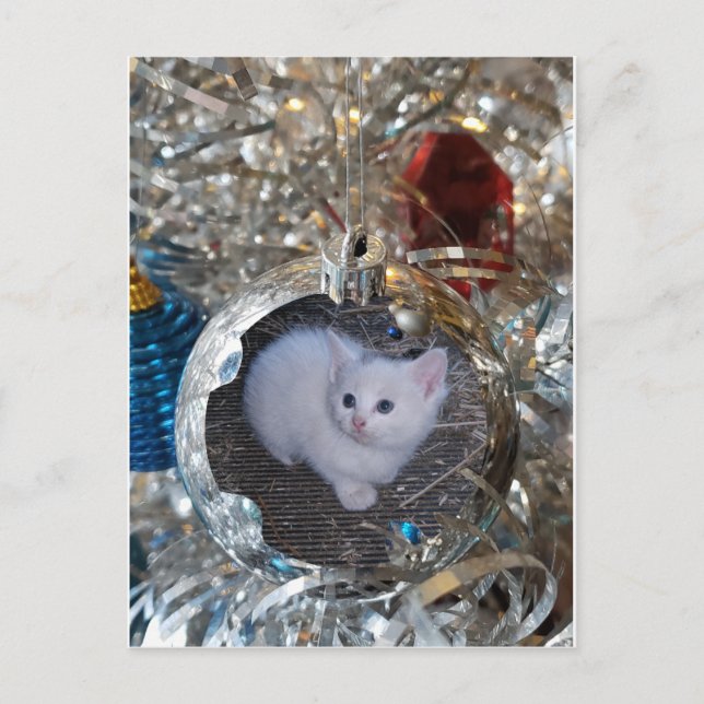 Cartão Postal Quadro de Cheio de Bloco Prateado (Frente)