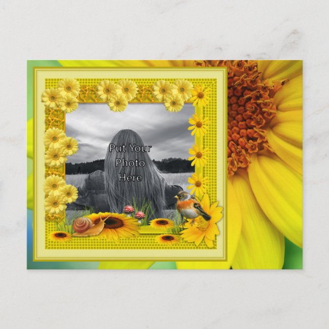 Cartão Postal Quadro de Fotografias de Girassol Amarelo Sunshine (Frente)