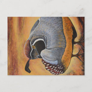 Cartão Postal Quail