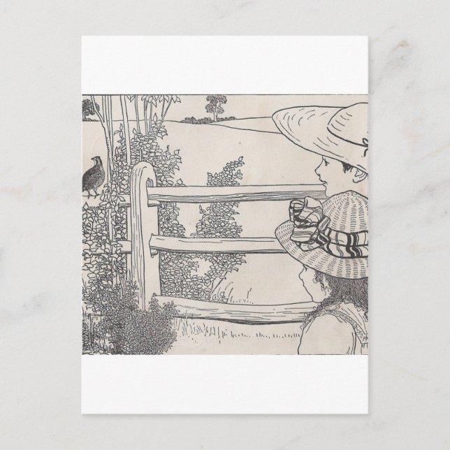 Cartão Postal Quail on A Rail (Frente)