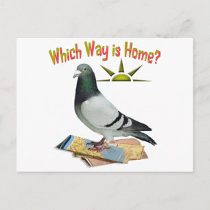 Cartão Postal Qual é o caminho para casa? Pigeon Art