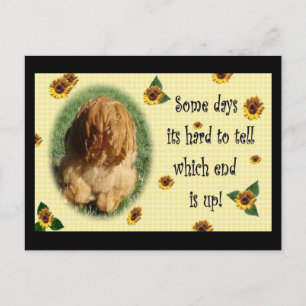 Cartão Postal Qual é o fim!