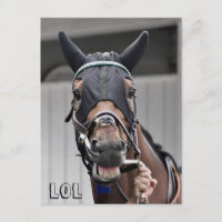 Qualidade de primavera