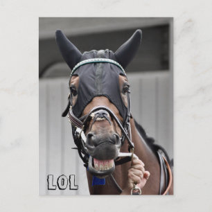 Cartão Postal Qualidade de primavera