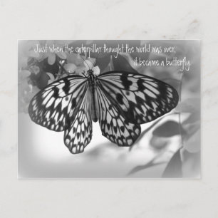 Cartão Postal Quando a lagarta pensava no mundo