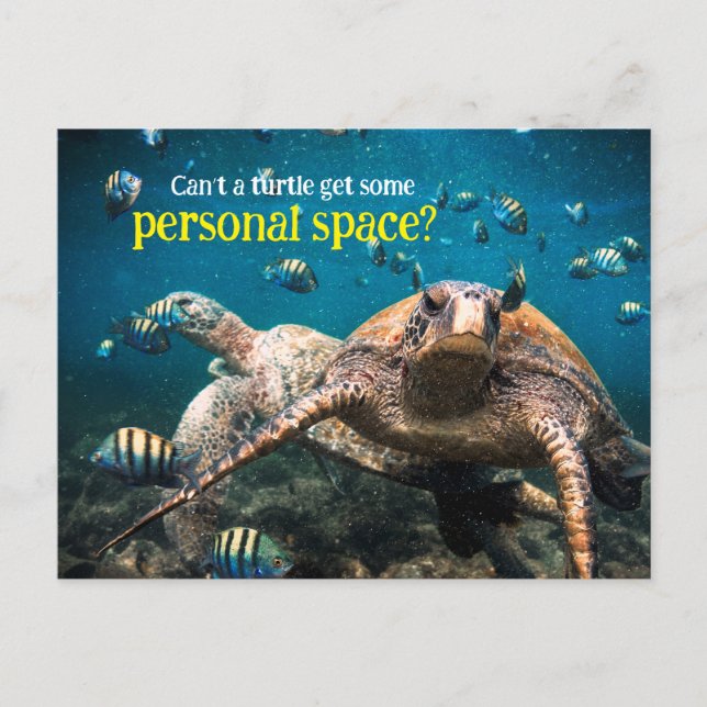 Cartão Postal Quando a vida fica difícil, é só continuar nadando (Frente)