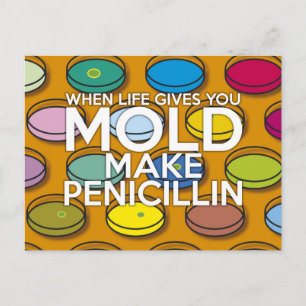 CARTÃO POSTAL QUANDO A VIDA LHE DAR UM OLHO