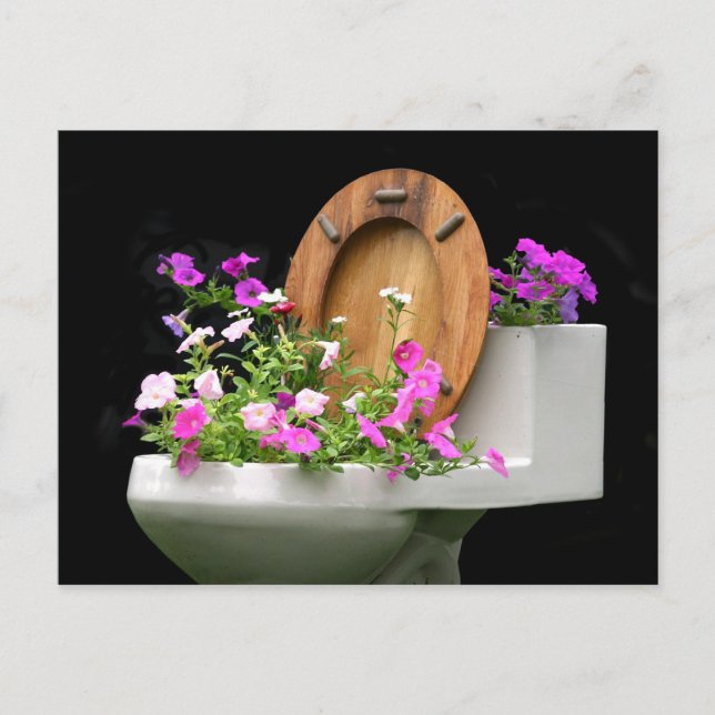 Cartão Postal Quando a vida te dá cocô (Frente)