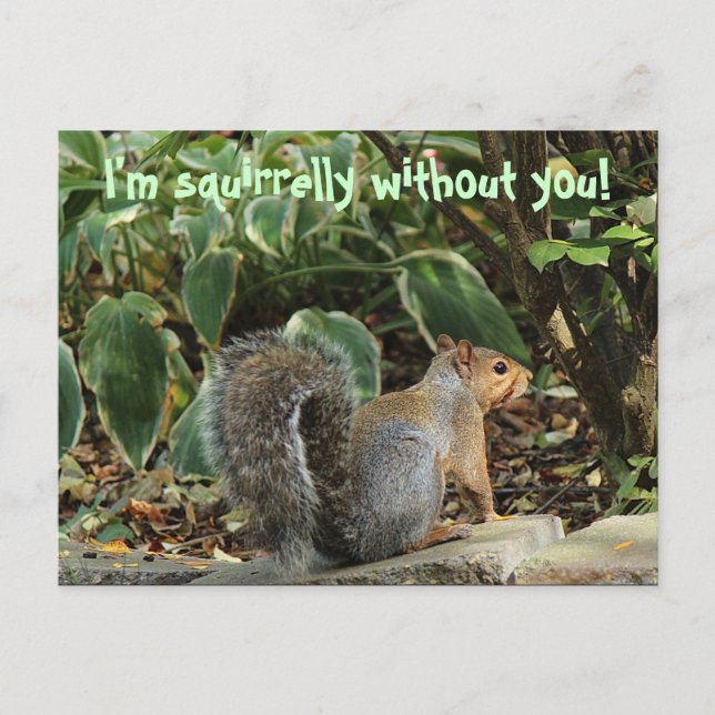 Cartão Postal Quando Falta Alguém (Frente)