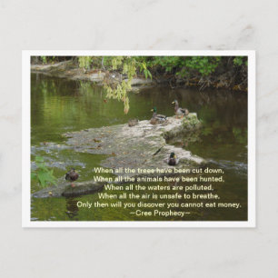 Cartão Postal Quando tudo