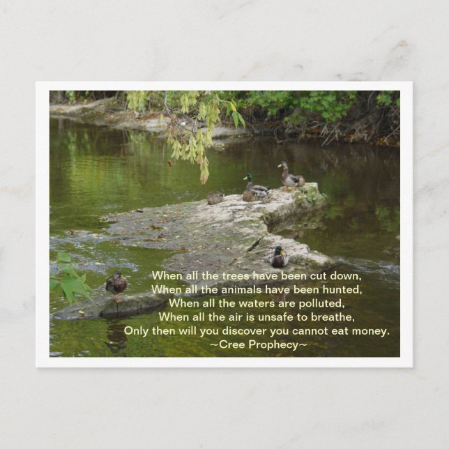 Cartão Postal Quando tudo (Frente)